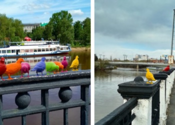 Омская мэрия забраковала проект с разноцветными голубями, финансируемый главой «Восток-Сервис-Спецодежды»