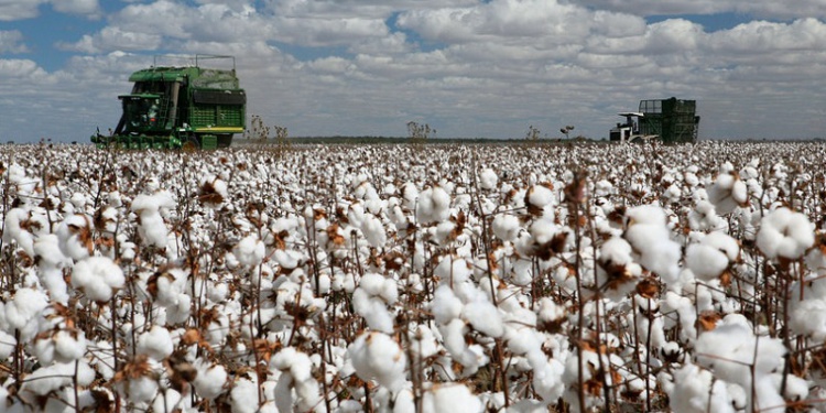 «БТК групп» инвестирует в Таджикистан