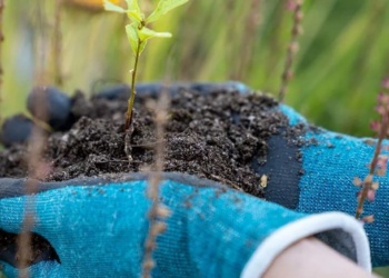 ECO: Uvex – защищая планету