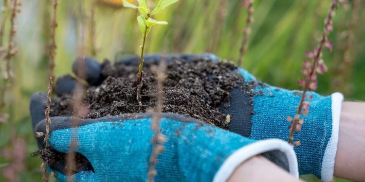 ECO: Uvex – защищая планету