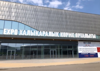 Рынок СИЗ Казахстана: по итогам выставки KIOSH-2023