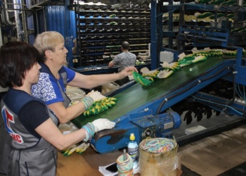 «ЛидерТекс» запустил производство трикотажных перчаток на площадке фабрики «Томна»