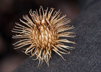 Велькро – умная липучка