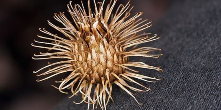 Велькро – умная липучка