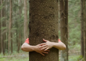 Ansell переходит на цифровые инструкции к европейской продукции