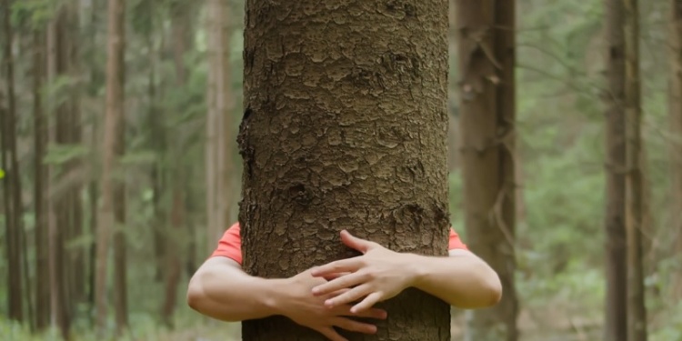 Ansell переходит на цифровые инструкции к европейской продукции