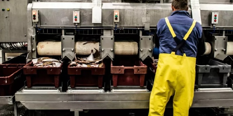 Можно ли новым компаниям работать по типовым нормам? Разъясняет Роструд