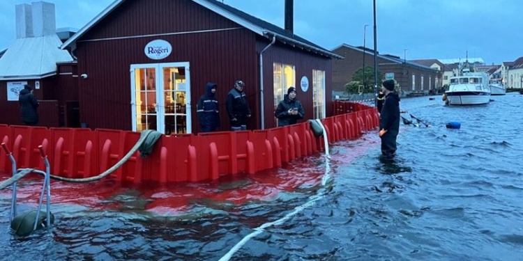 Группа товаров для предотвращения ущерба от наводнений