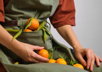 Фартуки как полезная ёмкость