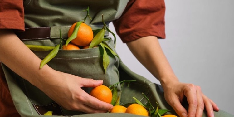 Фартуки как полезная ёмкость