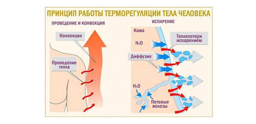 Гид по многослойности