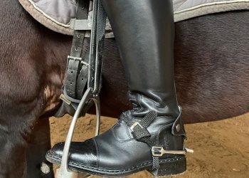 Сапоги для тренера верховой езды – СИЗ или экипировка? Разъяснят Роструд