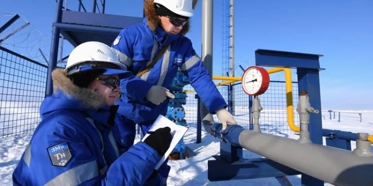 В Ростовской области за 22,5 млн рублей разработали огнестойкий утеплитель для арктической спецодежды