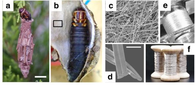 Новые технологии: от науки к практике