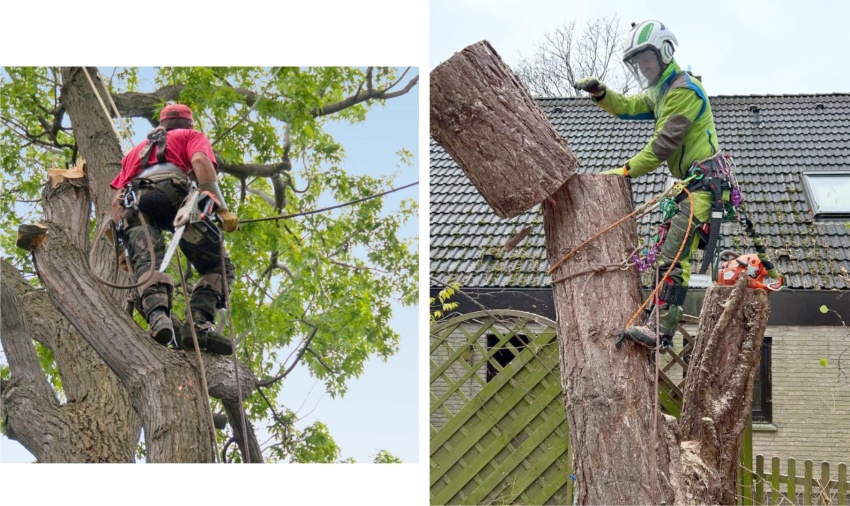 Рабочие в городе: СИЗ работников муниципальных служб