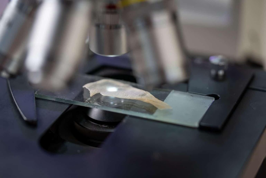 Новые технологии: от науки к практике