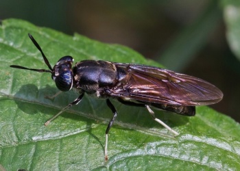 В России начался эксперимент по экологичной переработке спецодежды