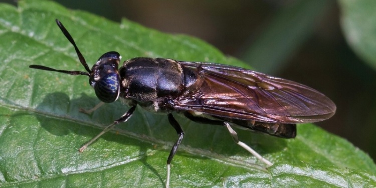 В России начался эксперимент по экологичной переработке спецодежды