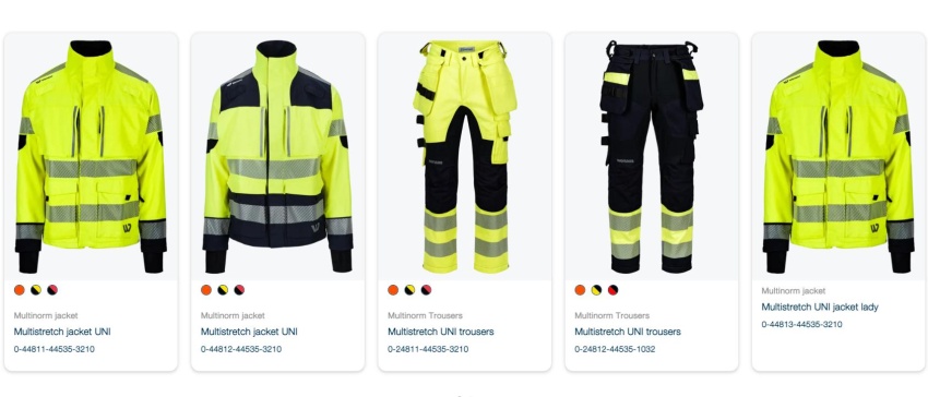 Что такое мультинорм?