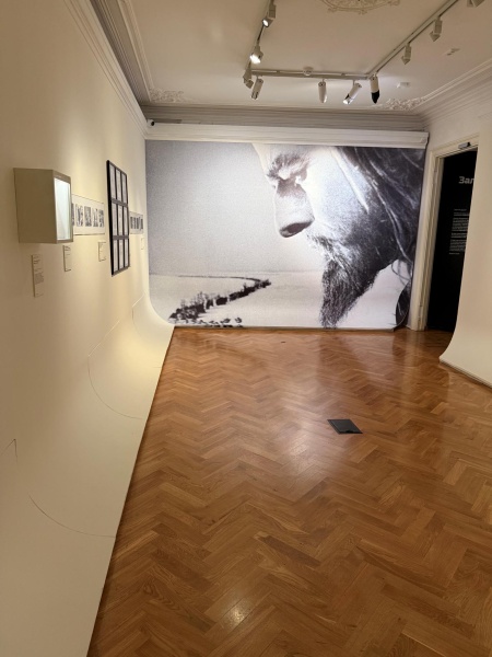 «Противогазы» Эйзенштейна