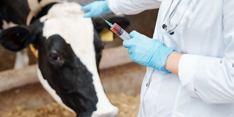 На форму и льготы ветеринарам в Казахстане будут выделять 4,3 млрд рублей в год