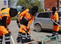 В России появились африканские дворники