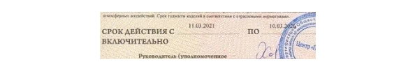 СИЗ на маркетплейсах России